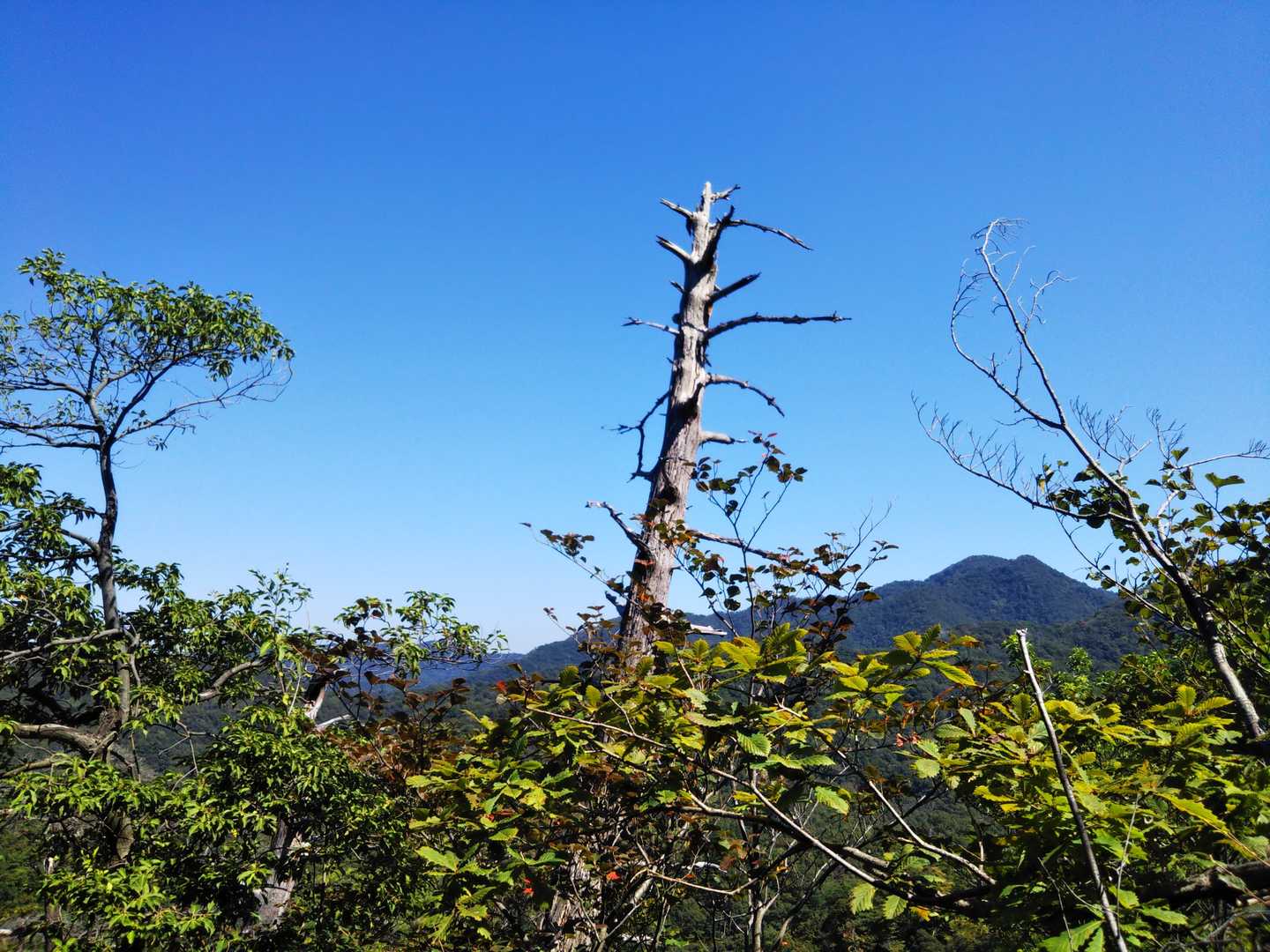 今日は気温30℃☀️
とにかく暑い