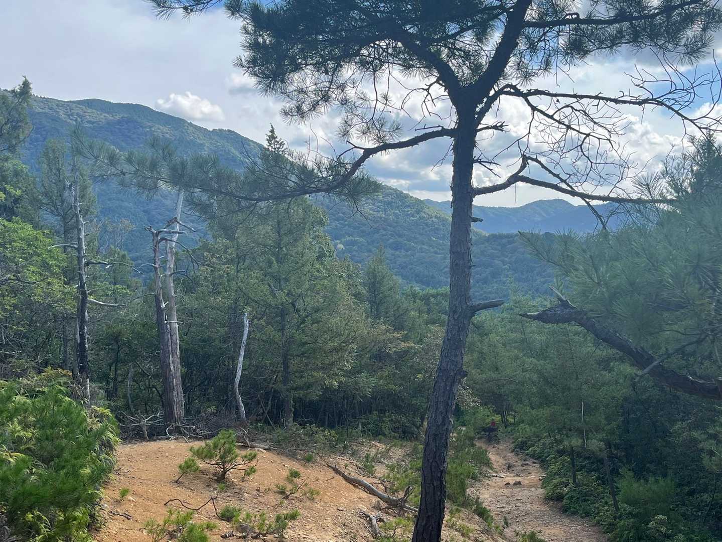 白木山登山口-白木山 往復コースの写真