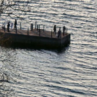 こっちは観光客かな👀