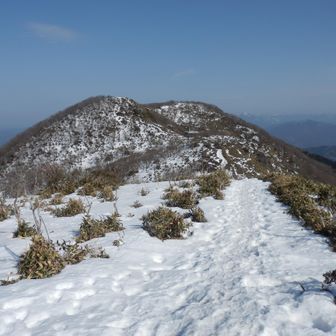 サミットも確認できます