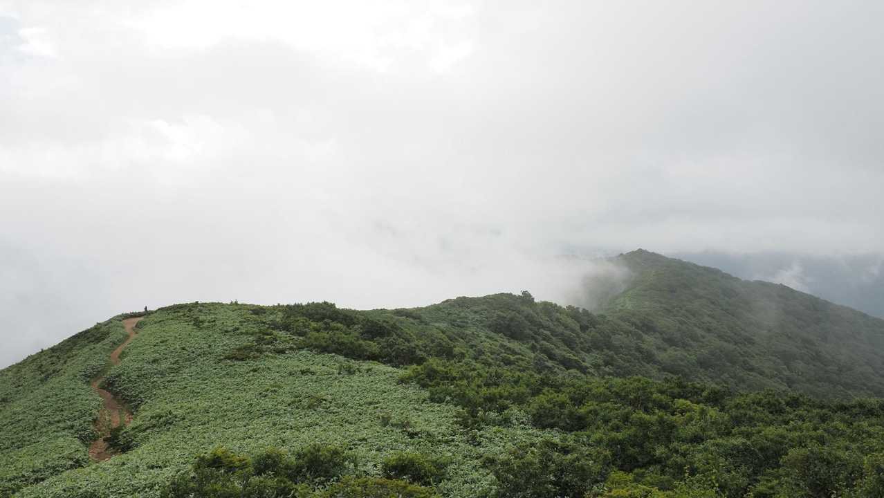 谷川岳主脈縦走（平標山・仙ノ倉山・万太郎山・谷川岳） の写真 8