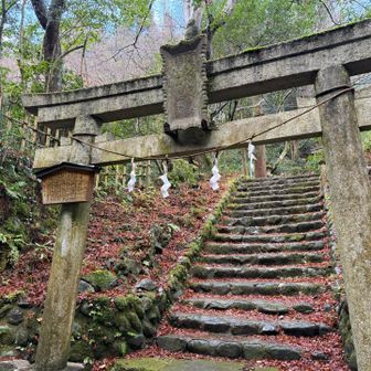 千代田稲荷神社へ