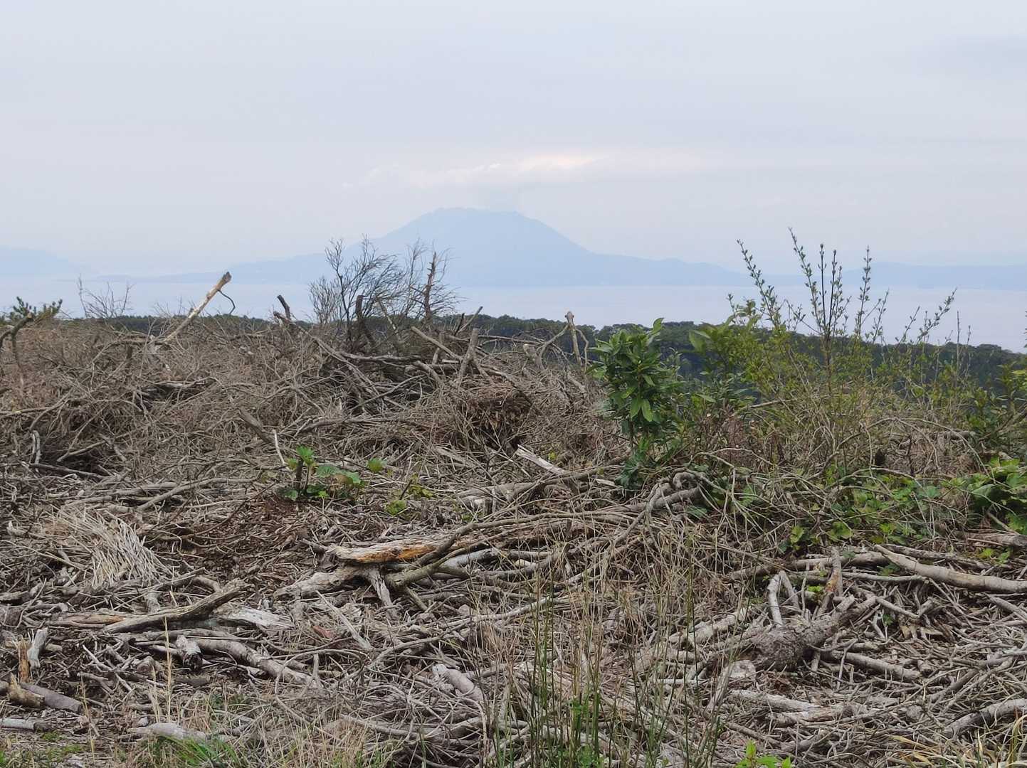 風車の所が唐牧岳山頂。曇り空にうっすら桜島。