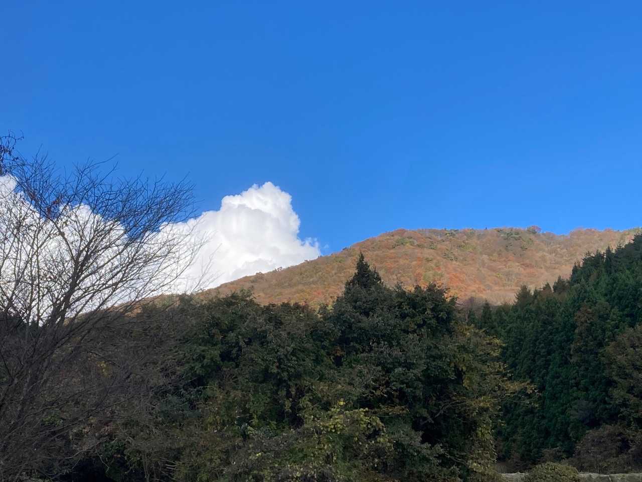 一杯山