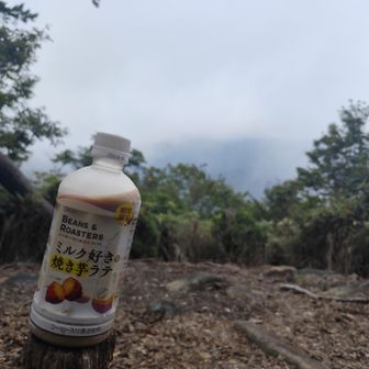 眺望など無い