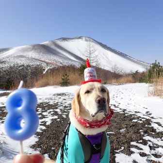 はっくん㊗️８歳おめでとー🥳🎉👏