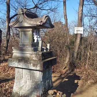 次いでYAMAPでいうところの富士山に到着