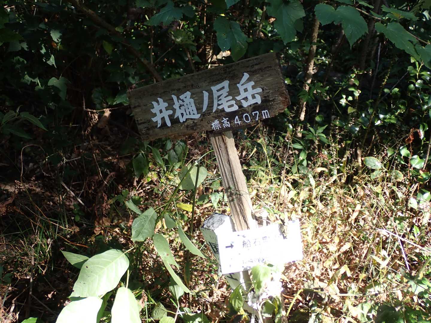 決死の覚悟でパチリ！
トゲが痛くてしょうがない。