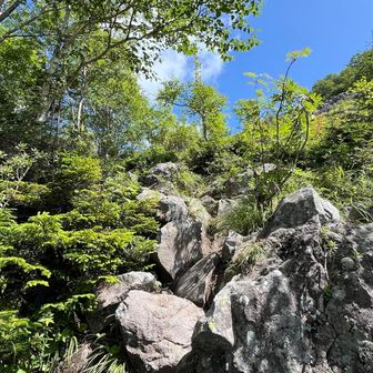 岩石山の分岐手前。