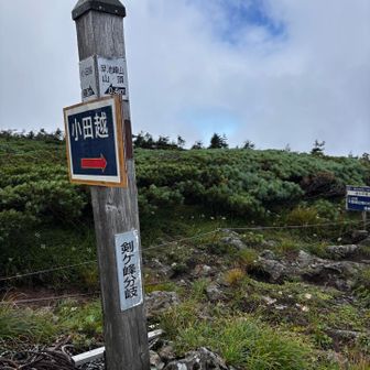 あとは山小屋までほぼ水平に！