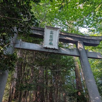 鳥居  神社は跡地しかありません