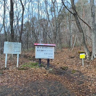 お疲れ山でした〜💕
