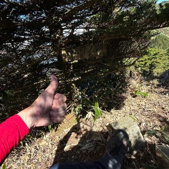 面河の頭⛰️到着👍