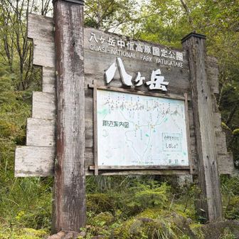 軽快に下山終了☑️
最後のアトラクション🚗もクリアして美濃戸口へ