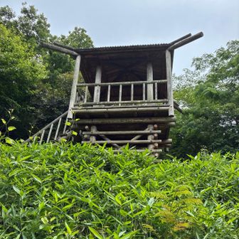 いかにも眺望は望み薄そうですが。