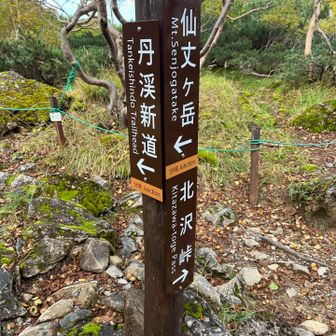 丹渓新道、いつかチャレンジしてみたい😊