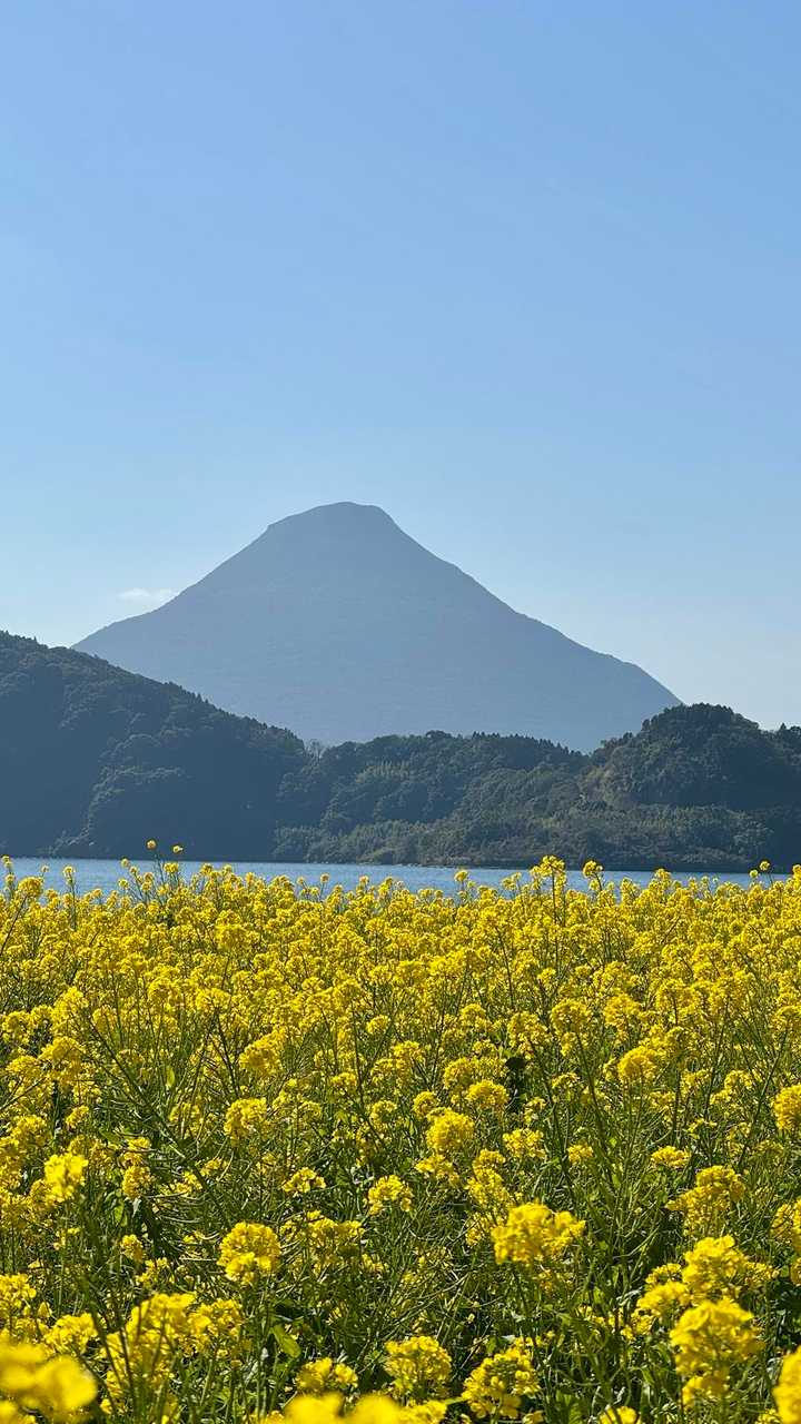 開聞岳、早春の薩摩富士／鹿児島遠征Day1 の写真 2