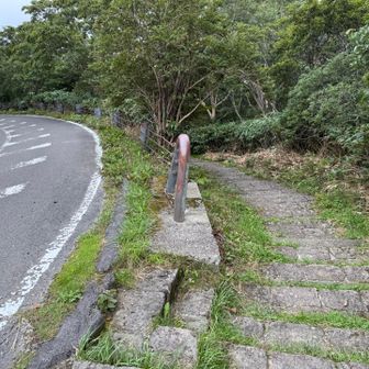 駐車場を過ぎてからは、道路横から登山道に復帰できる。