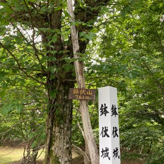 クマ対策してやって来ましたが、登山道は整備されていて、今日も峠近くの草刈りをして下さってました😌
ありがとうございます♪
鉢伏山の山頂🙌
