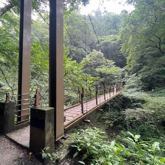 4号路名所「みやま橋」けっこう揺れた😅