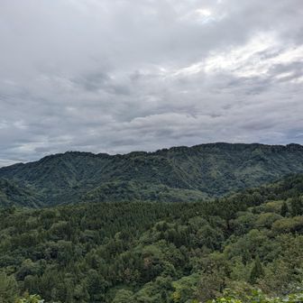 鋸山見える