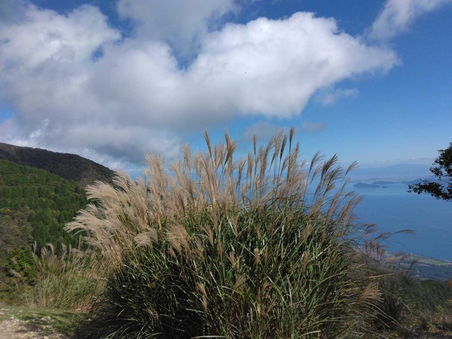 ススキと秋の雲と琵琶湖
