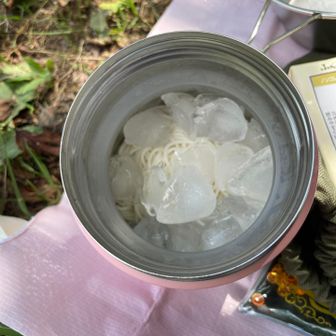 茹でて冷やして持ってきました