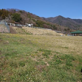 丘の上の茶色い屋根がトイレです。