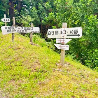 林道に出る
白谷登山口を目指します