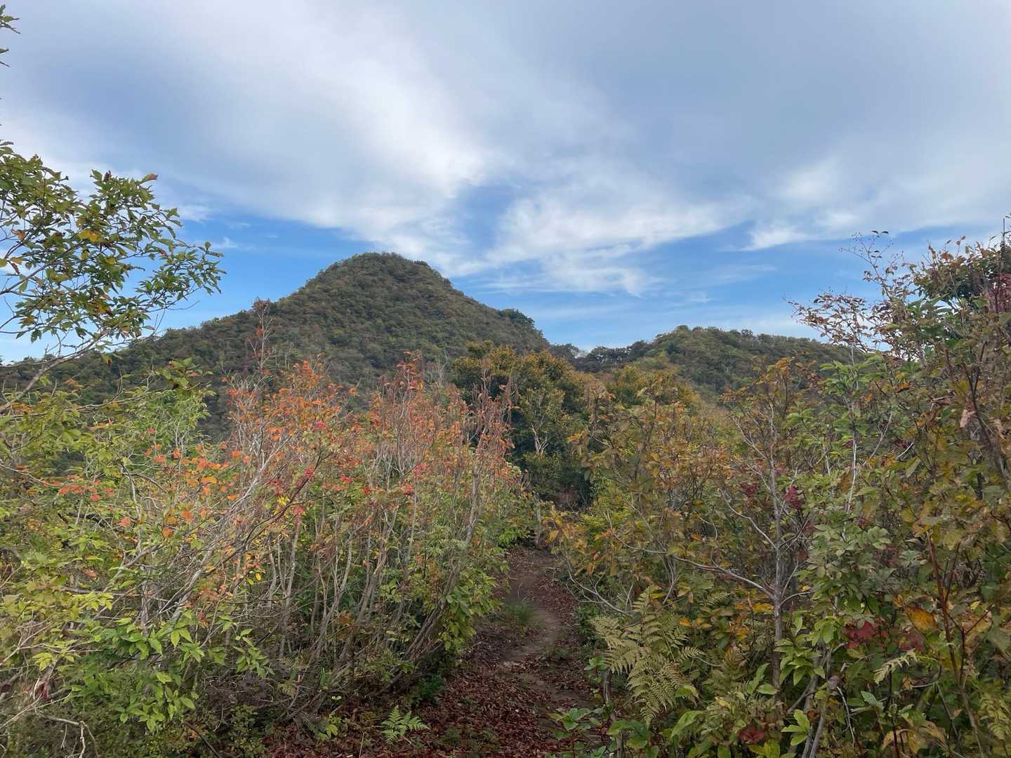八木ヶ鼻-三角山-袴腰山 往復コースの写真