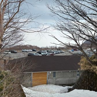 大丸🅿️のトイレに駆け込んだら財布を落としてた。お会計が出来ずに焦りました。