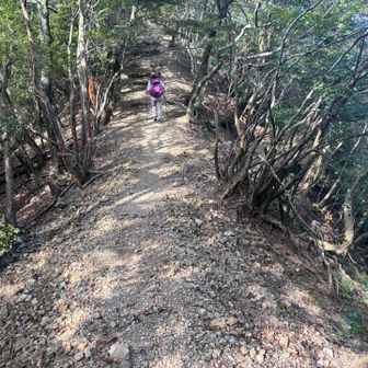 尾根歩き好き〜