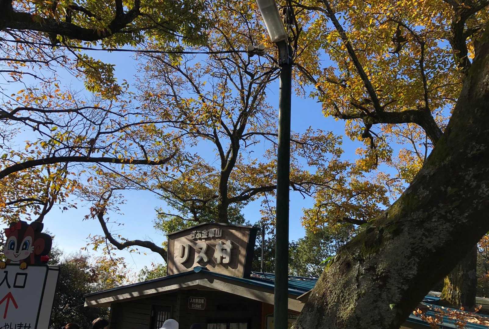 さて、下山します。10時には下山したいけど、無理だなぁ。