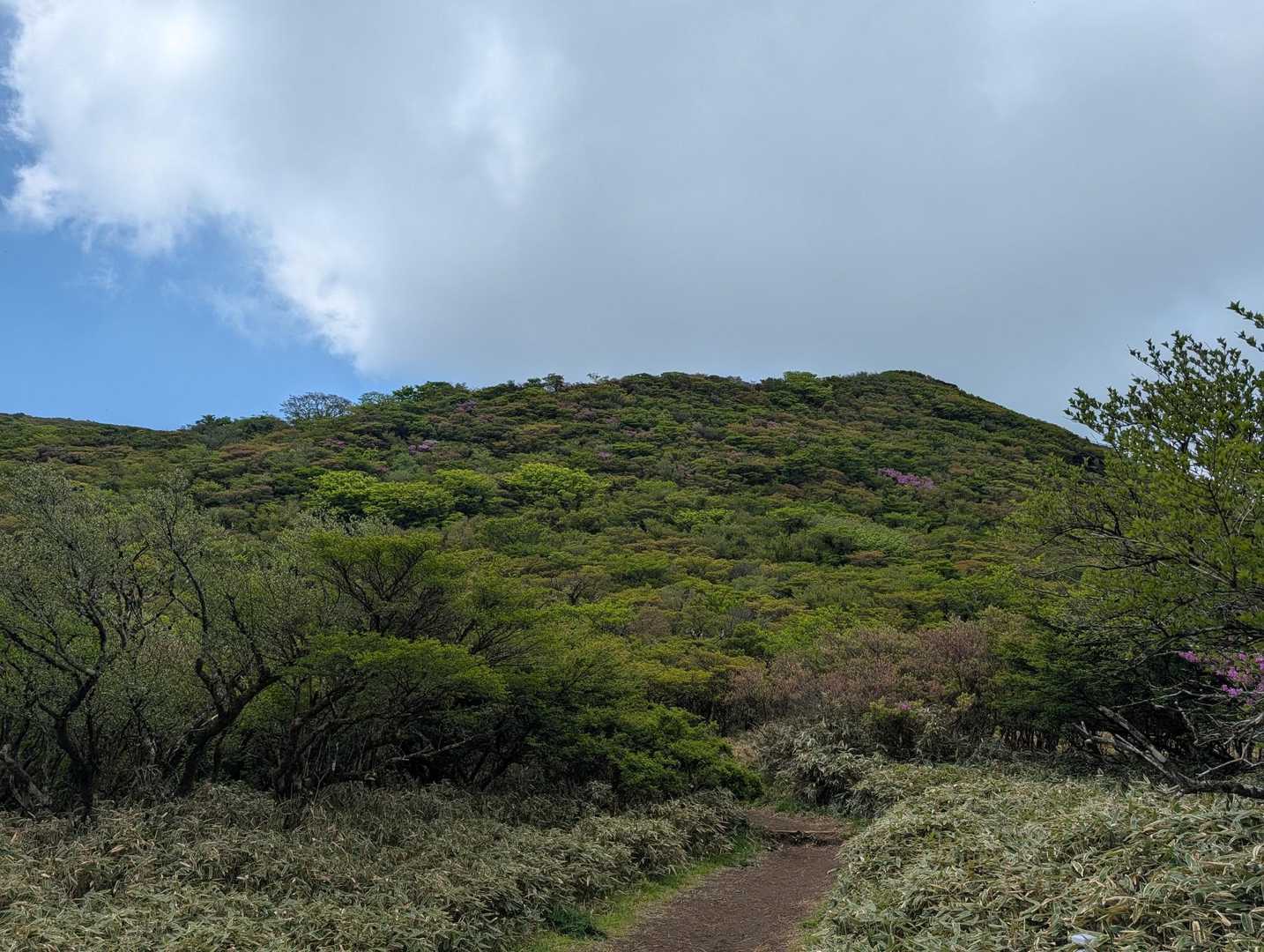 次は箱根駒ケ岳に登ります💪
山頂はこの山の奥です😌