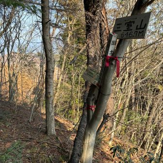 三室山山頂。一部の山肌が伐採により展望あり。