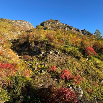 紅葉のモザイクもそこかしこ
まだ最盛期誤差内で良いんじゃない？