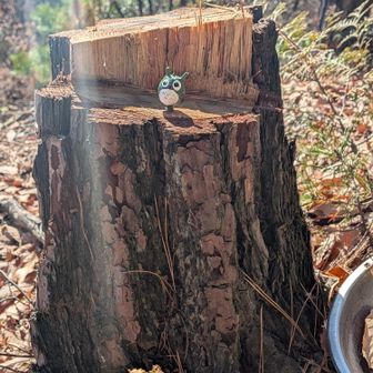わぁ…可愛い❣️