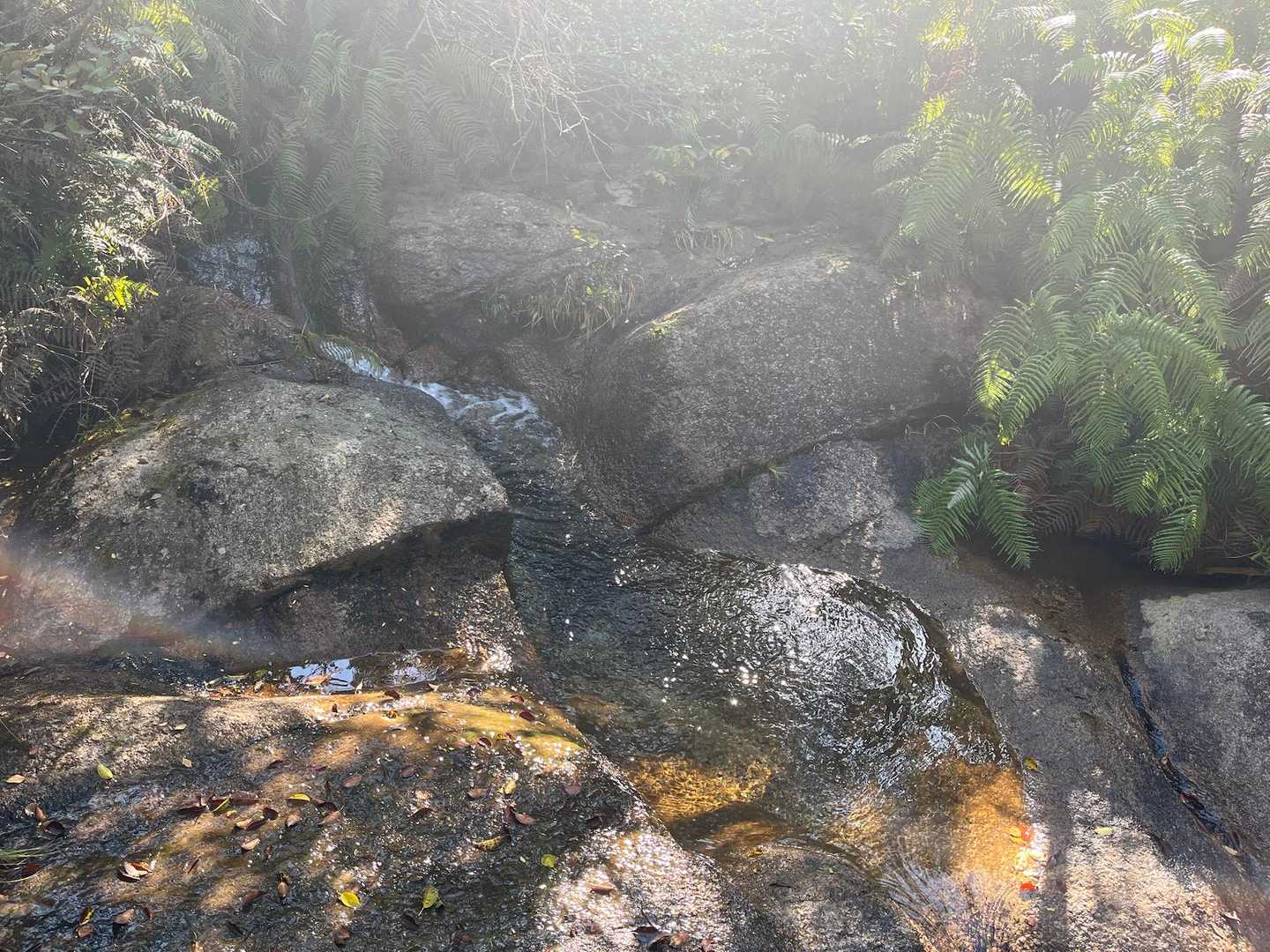 上桐生登山口-天狗岩-白石峰 周回コースの写真