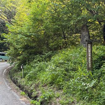 出た〜戻ってきました(๑˃̵ᴗ˂̵)
