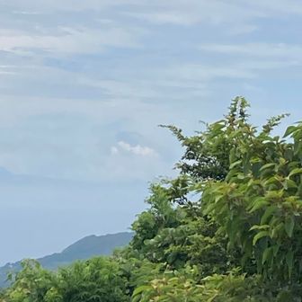 富士山見えたことにした