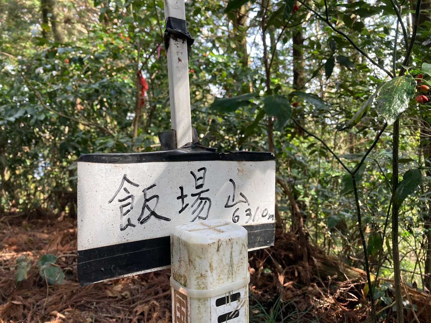 やっと着いた〜飯場山山頂
毎回ですが、眺望は有りません