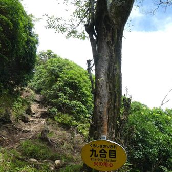 ２回目は何故か楽勝に感じました、てか、休憩所が五合目だし😁