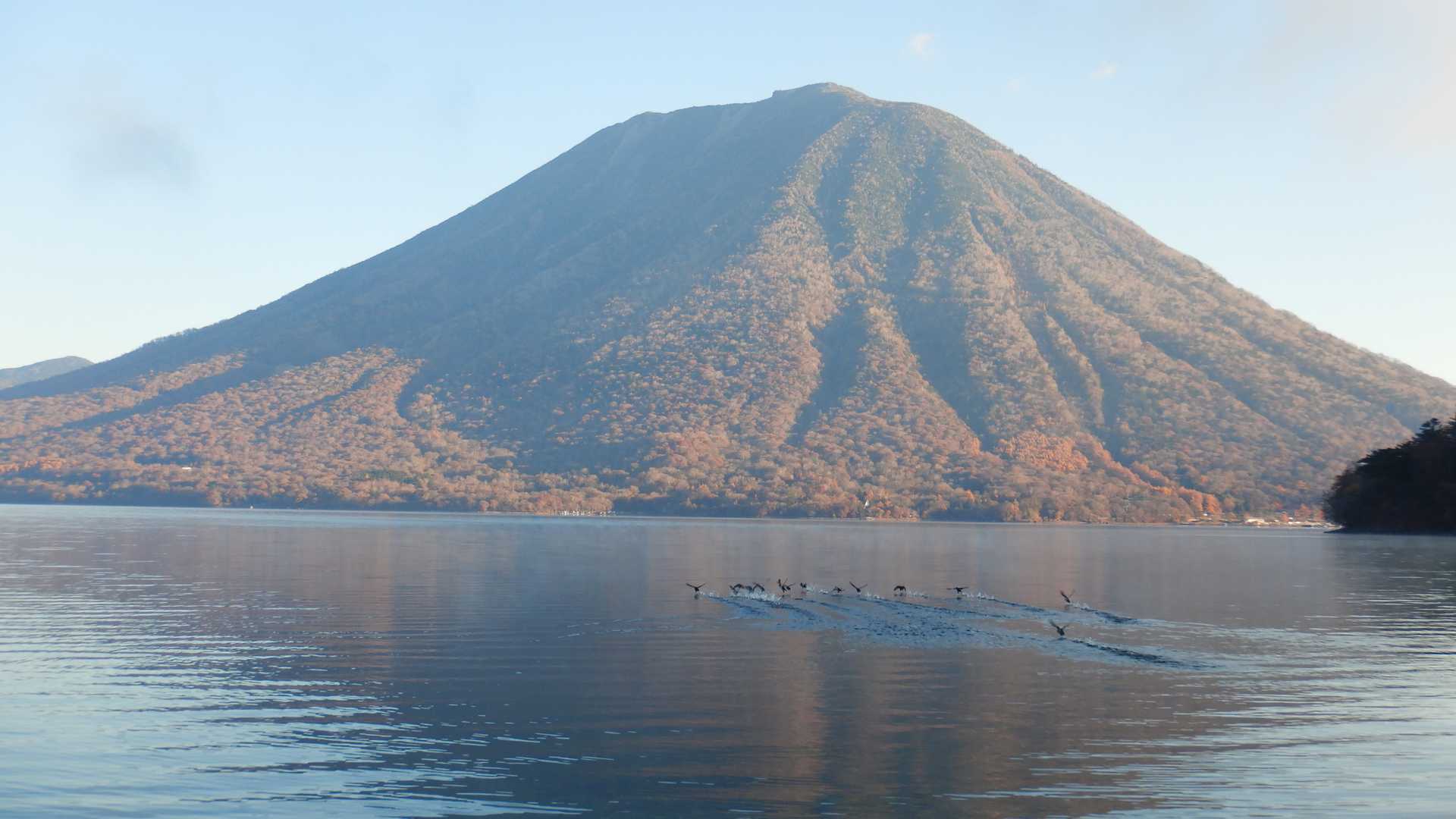 途中、男体山⛰️
水鳥がゆったり水面を滑っています🦢
