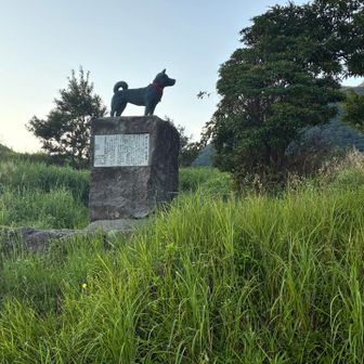 スタート地点の犬🐕