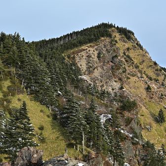 ピークが見える