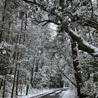 モノクロの世界