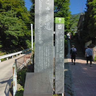 いつもの道へ