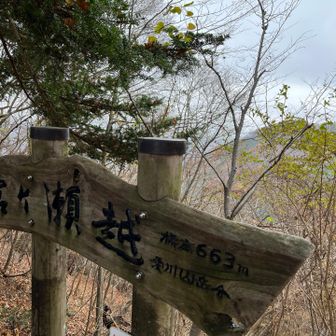 やっと登りきりました！ここまで来たら少し安心😮‍💨