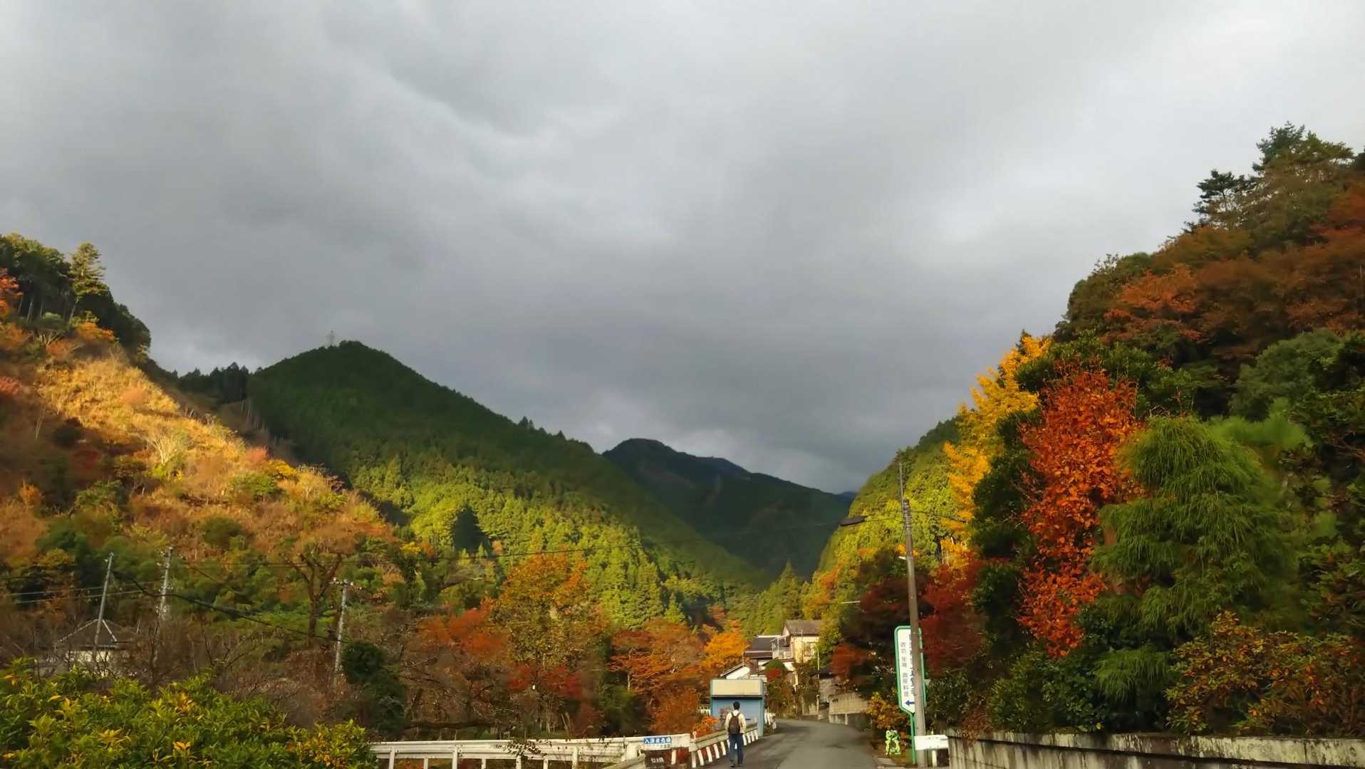 名郷バス停-前武川岳-武川岳-妻坂峠 周回コースの写真