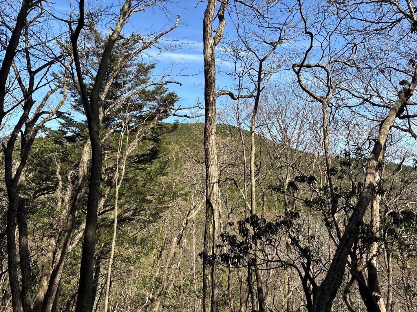 武川岳